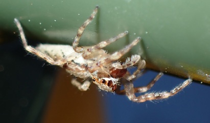 P9200018a.jpg